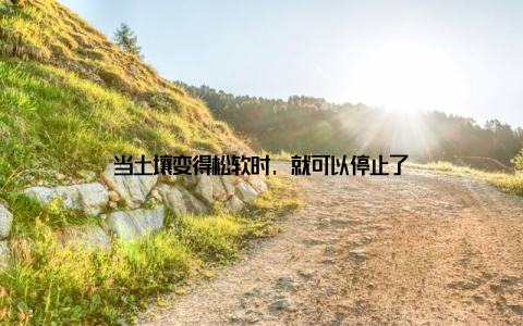 当土壤变得松软时, 就可以停止了