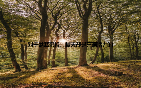 对于盆栽来说, 秋天却是充满活力的