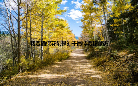 我要确保花朵是处于最佳授粉状态