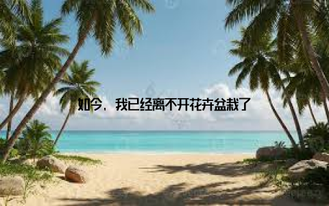 如今, 我已经离不开花卉盆栽了