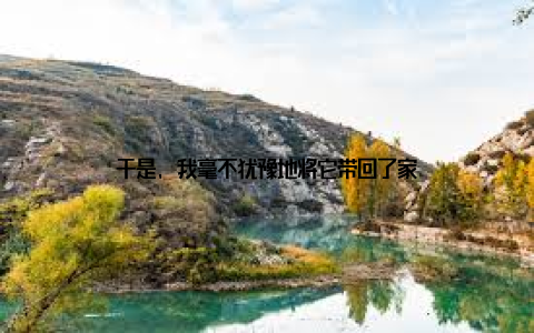 于是, 我毫不犹豫地将它带回了家