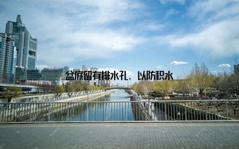 盆底留有排水孔, 以防积水