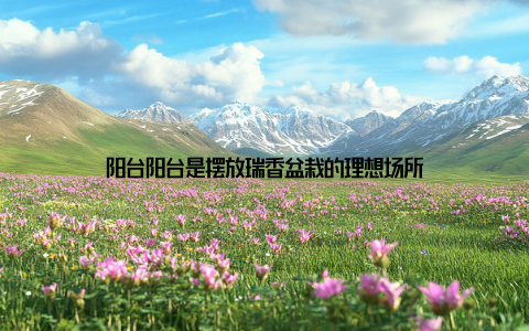 阳台阳台是摆放瑞香盆栽的理想场所