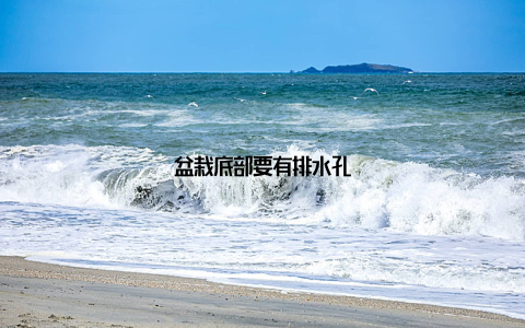 盆栽底部要有排水孔