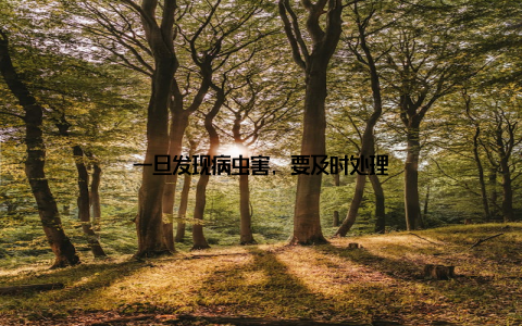 一旦发现病虫害, 要及时处理