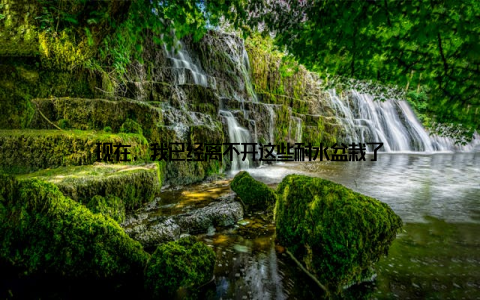 现在, 我已经离不开这些耐水盆栽了