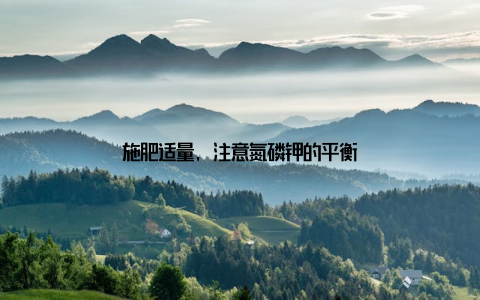 施肥适量, 注意氮磷钾的平衡