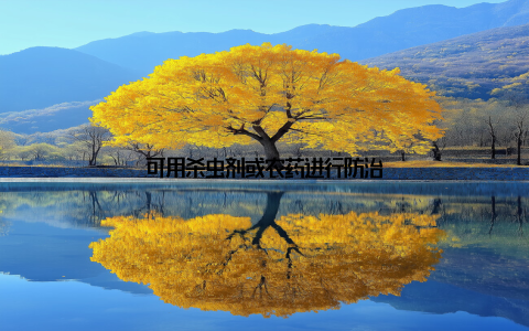 可用杀虫剂或农药进行防治