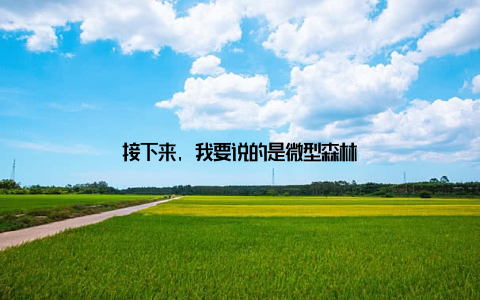 接下来, 我要说的是微型森林
