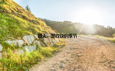 秋天, 是收获的季节