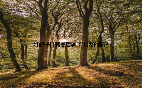 红桅子让我感受到了生活的美好