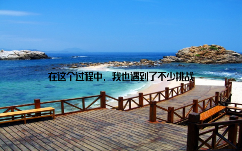 在这个过程中, 我也遇到了不少挑战