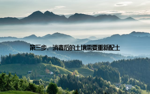 第三步, 消毒后的土壤需要重新配土