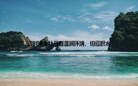 适时浇水牡丹喜湿润环境, 但忌积水