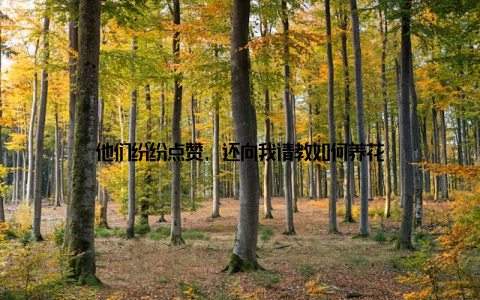 他们纷纷点赞, 还向我请教如何养花