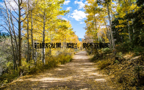 若根系发黑、腐烂, 则不宜购买