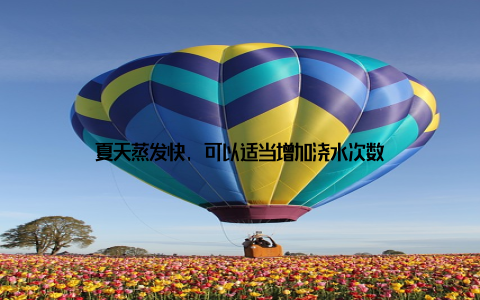 夏天蒸发快, 可以适当增加浇水次数