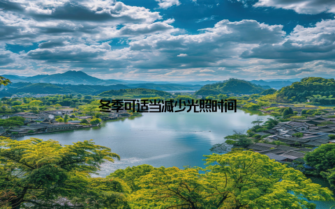 冬季可适当减少光照时间