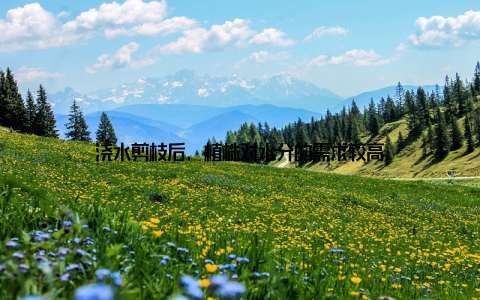 浇水剪枝后, 植株对水分的需求较高