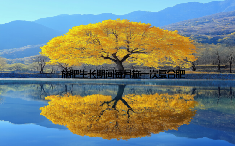 – 施肥生长期间每月施一次复合肥