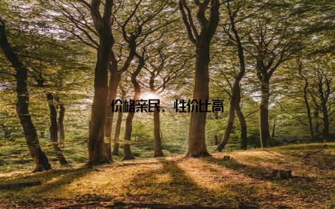 价格亲民, 性价比高