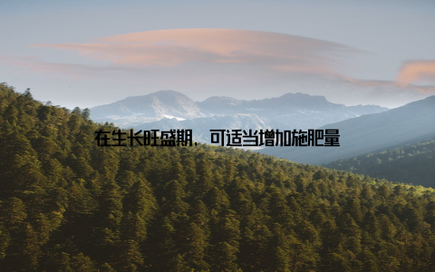 在生长旺盛期, 可适当增加施肥量