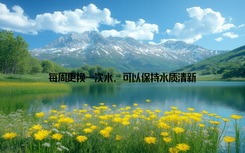 每周更换一次水, 可以保持水质清新