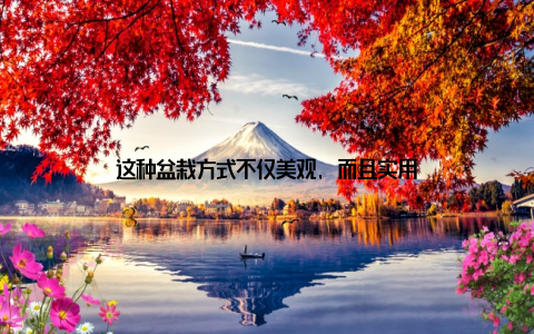 这种盆栽方式不仅美观, 而且实用