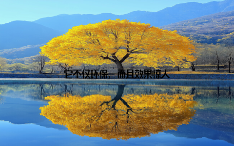 它不仅环保, 而且效果惊人