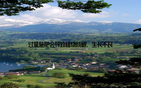 过量施肥会导致植物烧根、生长不良