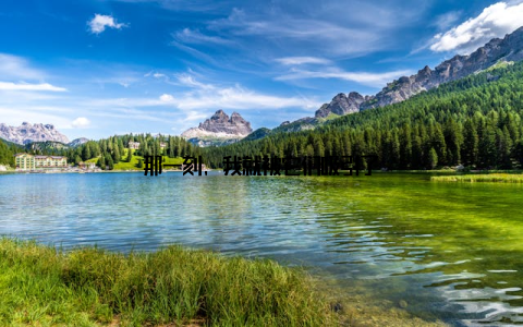 那一刻, 我就被它们吸引了