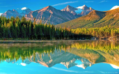 浇水要适量, 保持土壤湿润即可