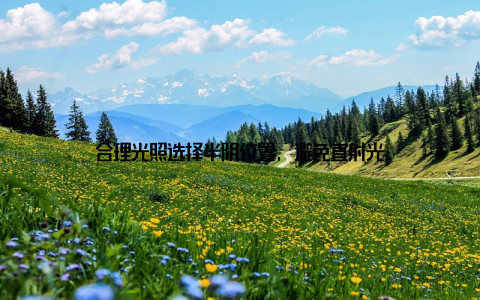 合理光照选择半阴位置, 避免直射光