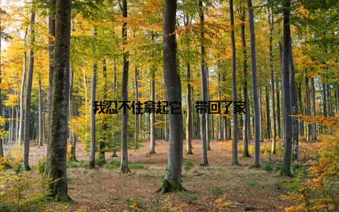 我忍不住拿起它, 带回了家