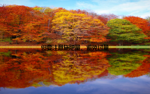 但要注意施肥量, 避免过量