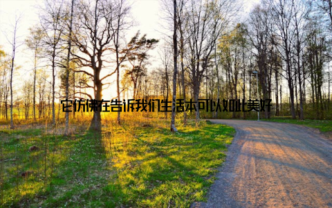 它仿佛在告诉我们生活本可以如此美好