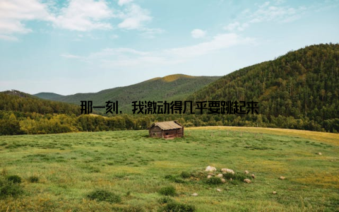 那一刻, 我激动得几乎要跳起来