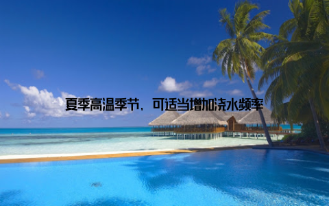 夏季高温季节, 可适当增加浇水频率
