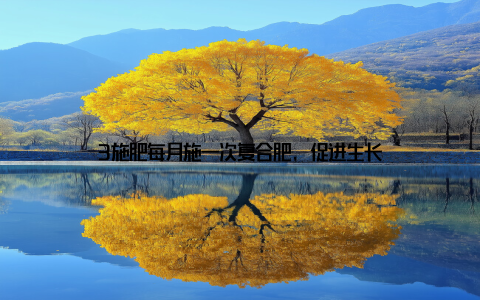 3施肥每月施一次复合肥, 促进生长