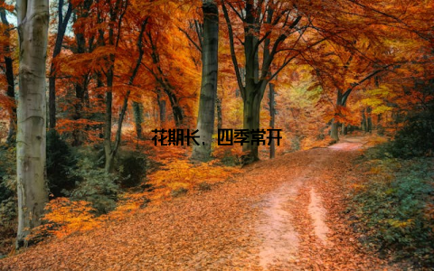 花期长, 四季常开