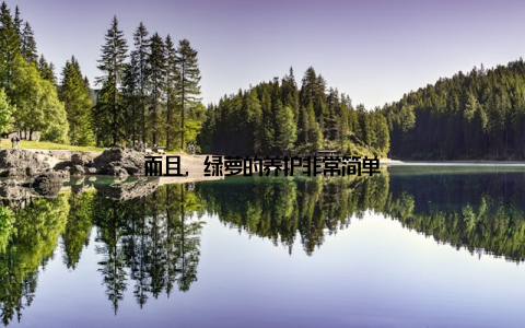 而且, 绿萝的养护非常简单