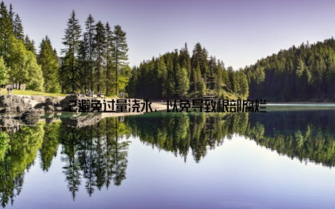 2避免过量浇水, 以免导致根部腐烂