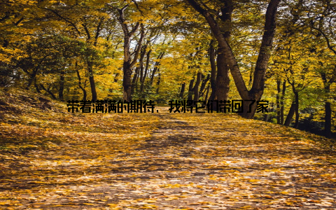 带着满满的期待, 我将它们带回了家