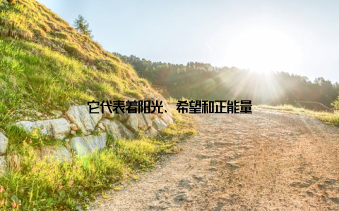 它代表着阳光、希望和正能量