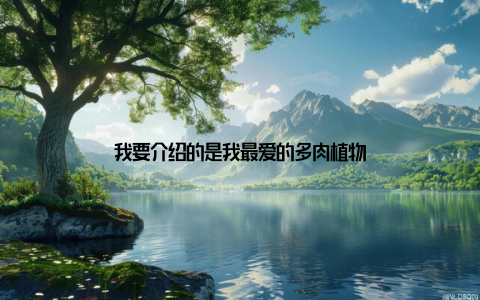 我要介绍的是我最爱的多肉植物