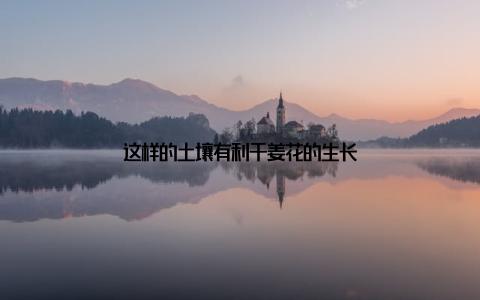 这样的土壤有利于姜花的生长