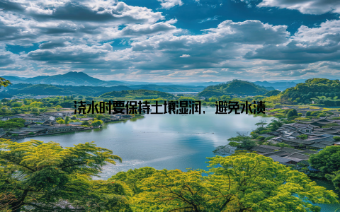 浇水时要保持土壤湿润, 避免水渍