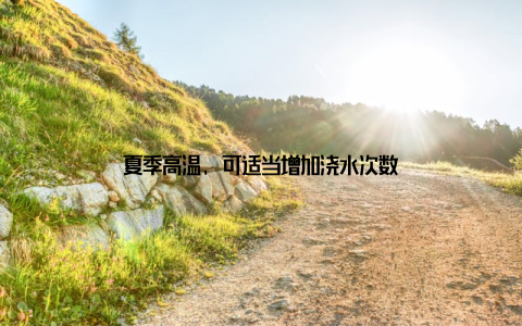 夏季高温, 可适当增加浇水次数