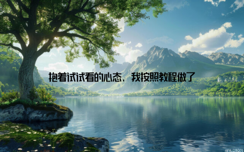 抱着试试看的心态, 我按照教程做了