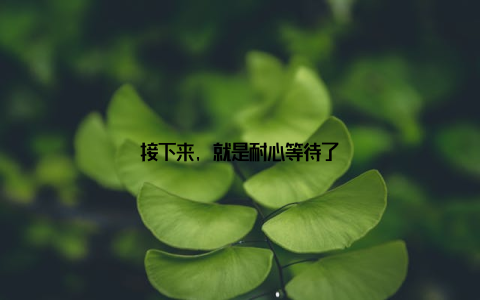 接下来, 就是耐心等待了